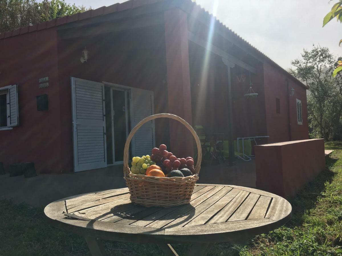 Villa Rafael Vega de San Mateo Exteriör bild